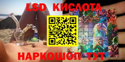 spice Гай