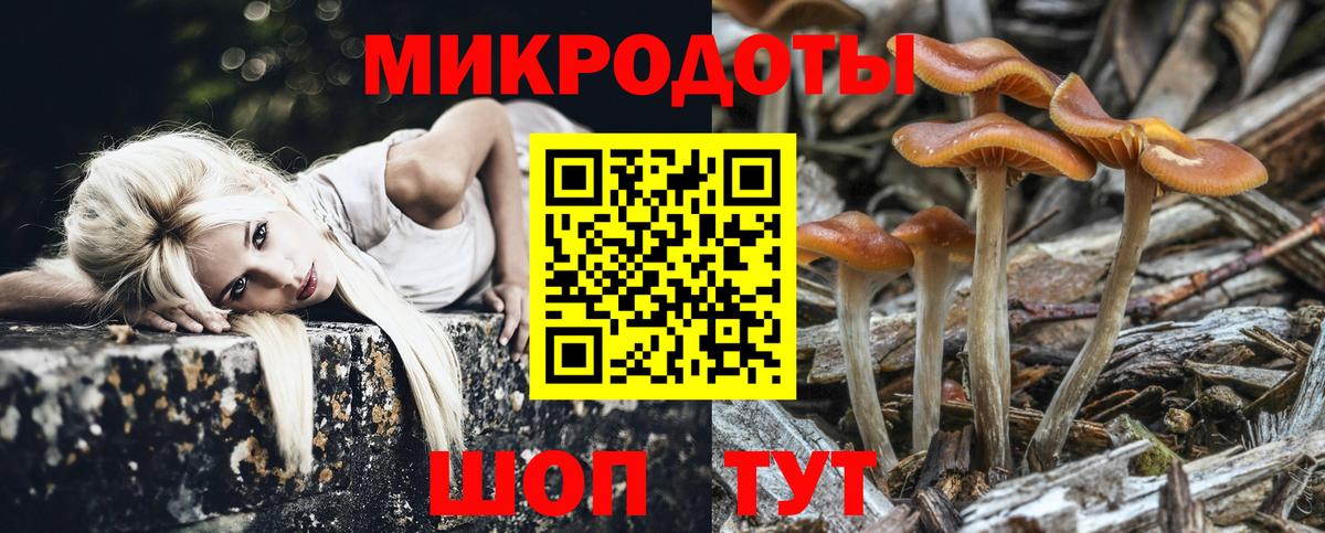 Галлюциногенные грибы GOLDEN TEACHER Барнаул